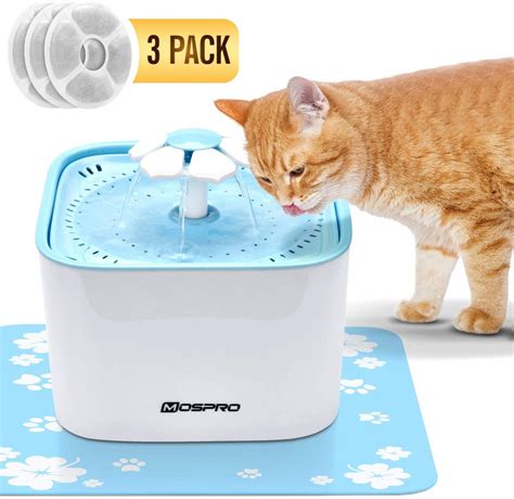 Best Cat Water Fountain Review and Buyers Guide - Petminco.com