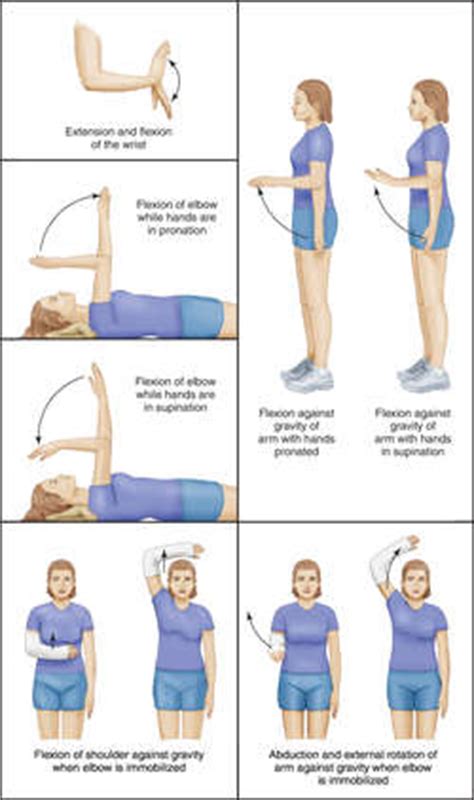 Active And Passive Exercises In Nursing - Exercise Poster