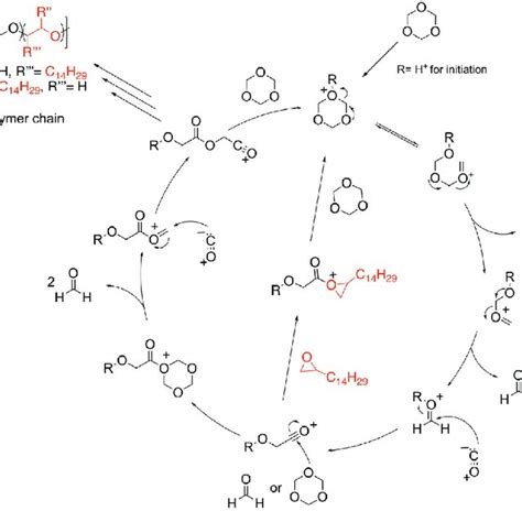 (PDF) Synthesis of Polyglycolic Acid Copolymers from Cationic ...