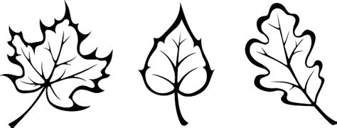 Free Leaves Black Cliparts, Download Free Leaves Black Cliparts png ...