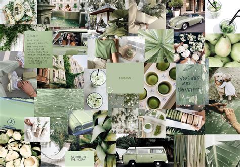 10 Choices sage green aesthetic wallpaper desktop You Can Download It ...