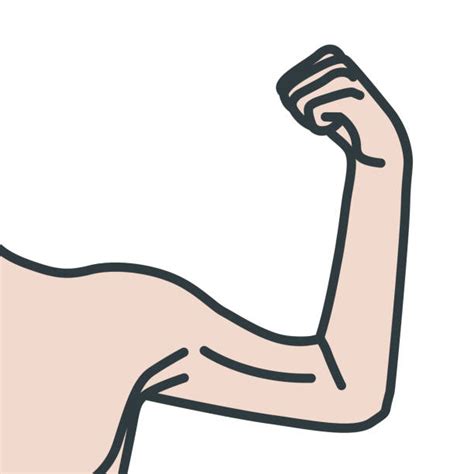 100+ Strong Arm Weak Arm Stock Illustrations, Royalty-Free Vector ...