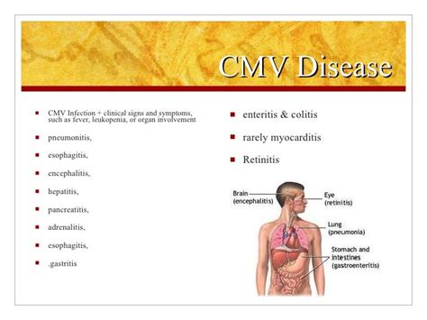 CMV in Organ Transplantation