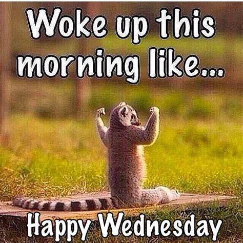 Woke Up This Morning Like....Happy Wednesday | Morning quotes funny ...