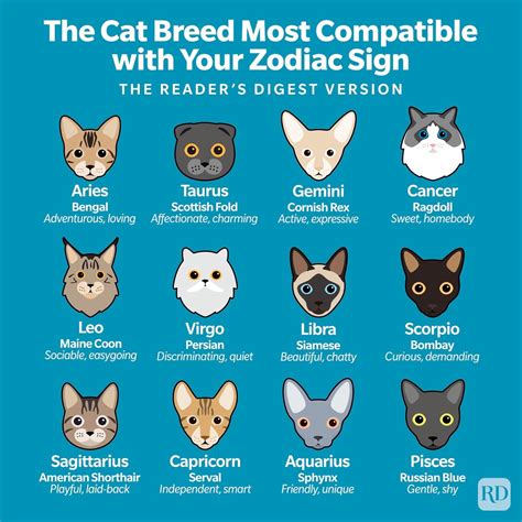 Zodiac Signs as Cat Breeds: Which Cat Is Best for You?