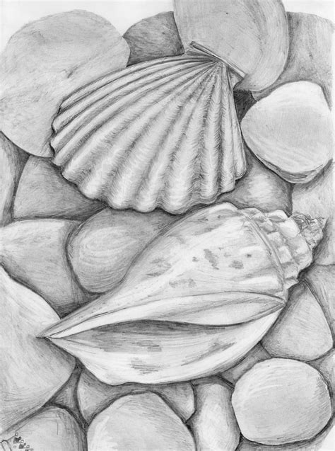 sea shells by tamagotchitam on DeviantArt