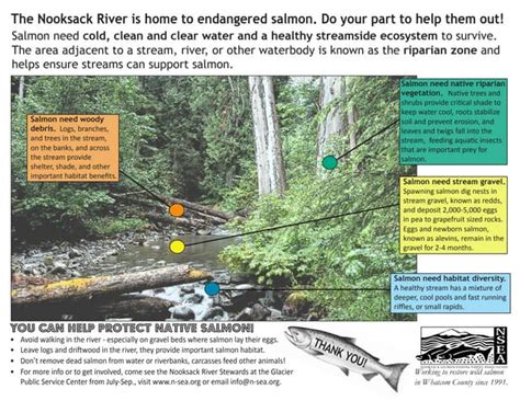 Riparian Zone | PPT