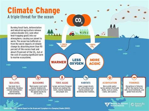 Climate Change: A triple threat for the ocean | Monterey Bay Aquarium