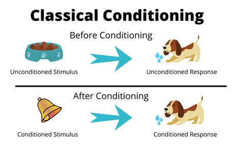 Examples of Classical Conditioning