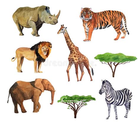 Safari Animals Stock Illustrations – 60,381 Safari Animals Stock ...