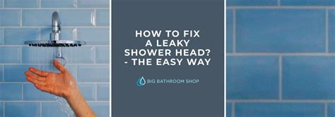 How To Fix A Leaky Shower Head? - The Easy Way | Big Bathroom Inspiration