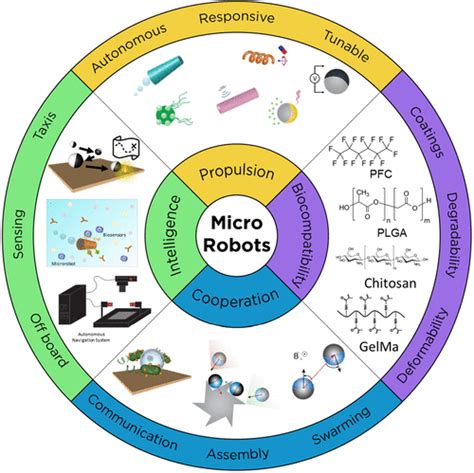 telocvičňa staviteľ dohliadať smart materials dúha Megalopolis chodba