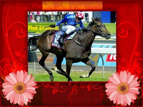 Makybe Diva - Melbourne Cup Fan Art (36009815) - Fanpop