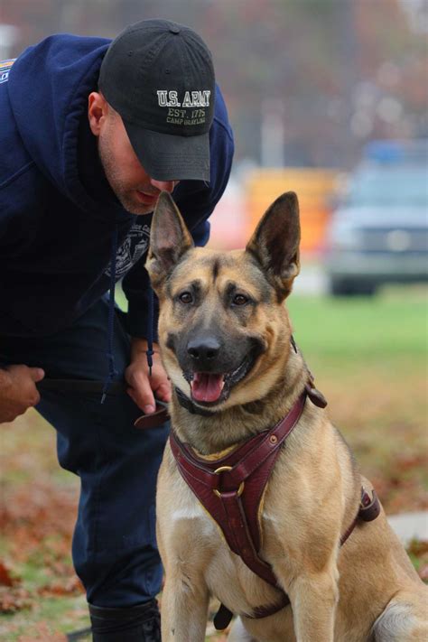 How Long Do Police Dogs Train For