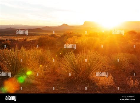 Valley of the Gods rock formation with Monument Valley at sunrise Stock ...