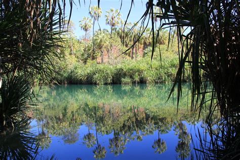 The Savannah Way: Top Things to See Between Cairns and Broome