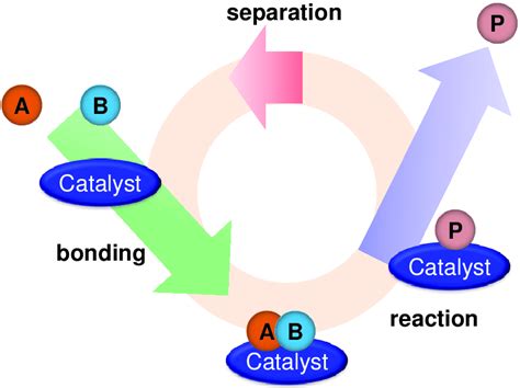 1 Schematic illustration of a catalytic process showing "A" and "B ...