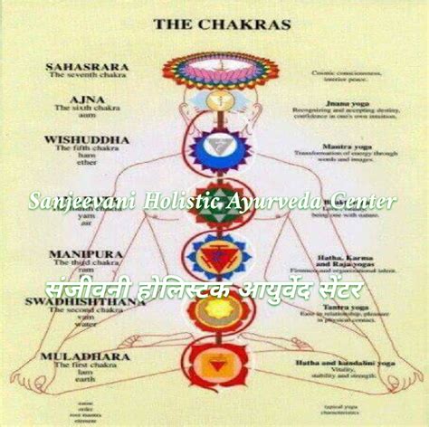 Siddha Healing Therapy - Holistic Therapist Directory