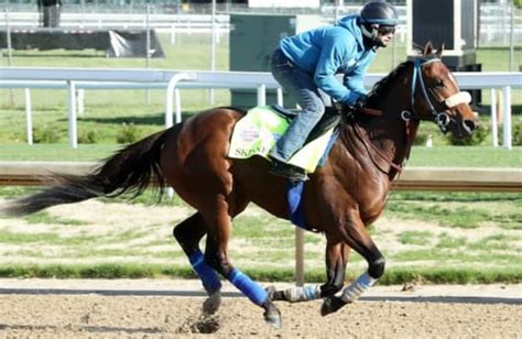 Kentucky Derby 2023: Skinner is scratched, leaving a field of 19