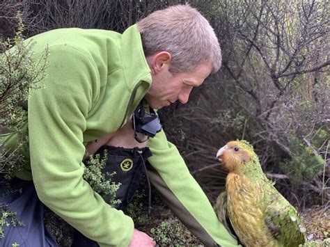 Kakapo Bird