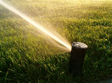 A Quick Guide to Summer Lawn Irrigation