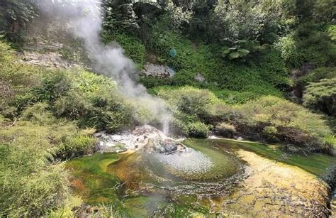 These 10 Places to Visit In Rotorua Prove How Crazy Nature Is