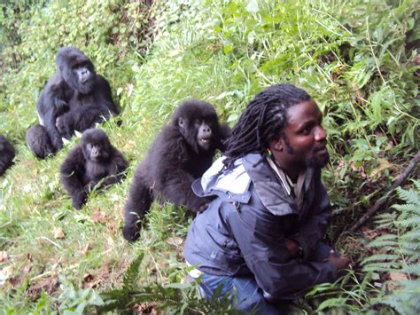 Guide to Trekking with Africa Gorillas Uganda, Rwanda & Congo ...