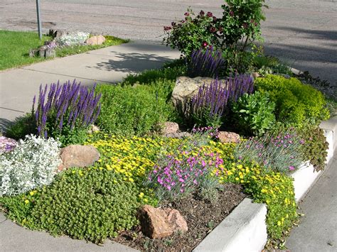 A road edge planting. Frequently called a "hellstrip" because it is a ...