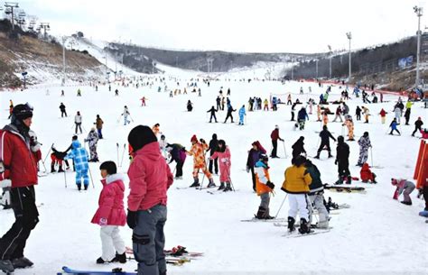 Winter in South Korea: Survival Tips for The First Timer - KKday Blog