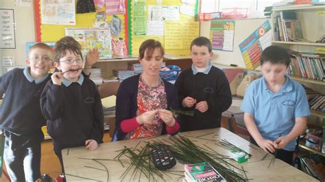 Scoil Chlann Naofa, Ballinamore: Lá Fhéile Bríde