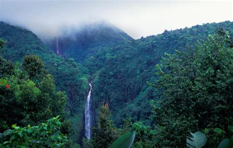 Wallpaper mountains, waterfall, National Park, Guadeloupe images for ...