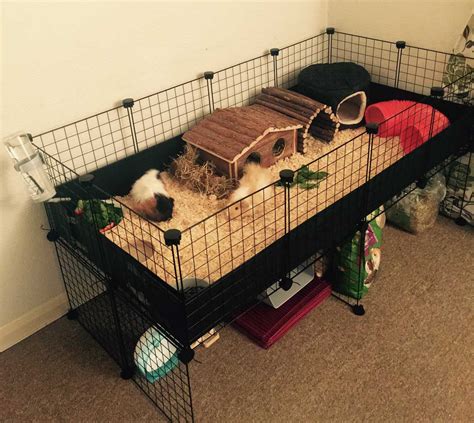 Gallery - C&C Guinea Pig Cages - Mesh and Grid Cages for Pets