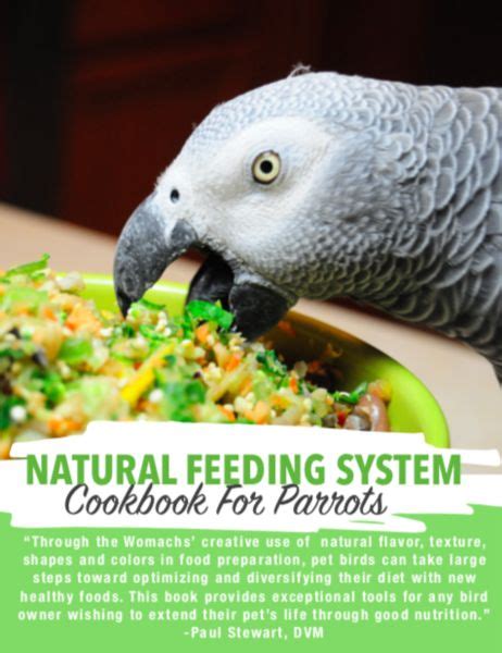 Natural Feeding System (Digital Download) | Parrot food recipe, Parrot ...