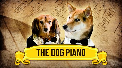 The Dog Piano! - YouTube