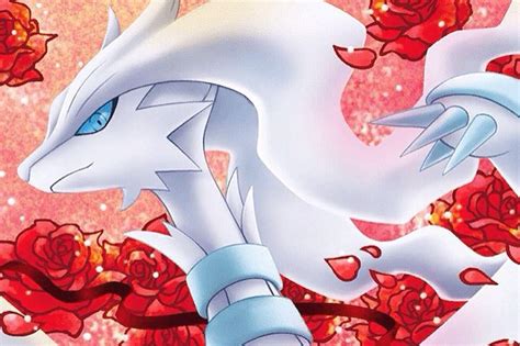 Reshiram | Pokémon Amino