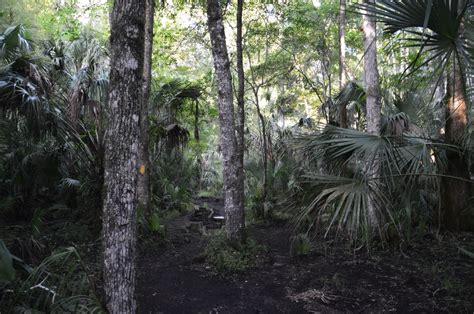 Hillsborough River State Park: Rapids Trail and Florida Trail Loop ...