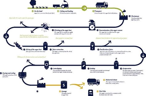 Sugar beet production