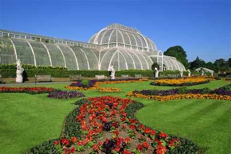 Kew Gardens launches annual 'health check' of the world's plants in ...