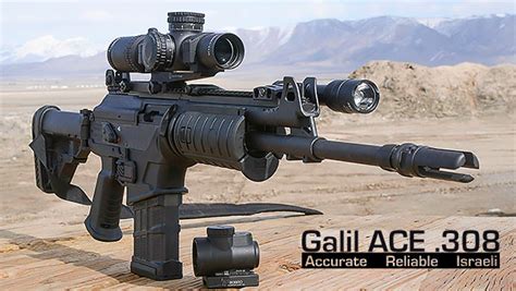 Galil ACE .308 - Finally a .308 Battle Rifle / Hog Hunter That Meets My ...