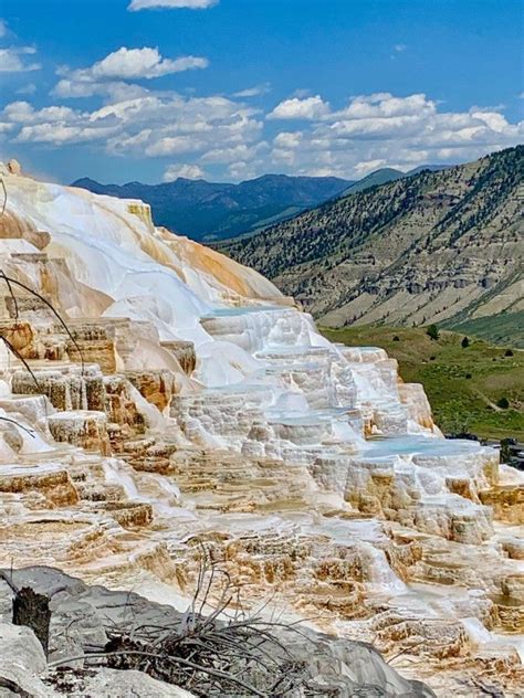 Mammoth Hot Springs Yellowstone National Park in 2020 | Yellowstone ...