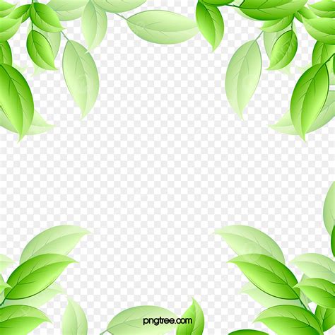 Delicate Border PNG Picture, Delicate Green Leaves Border Illustration ...