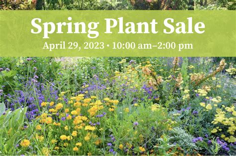 Marin Art and Garden Center Spring Plant Sale (Ross)