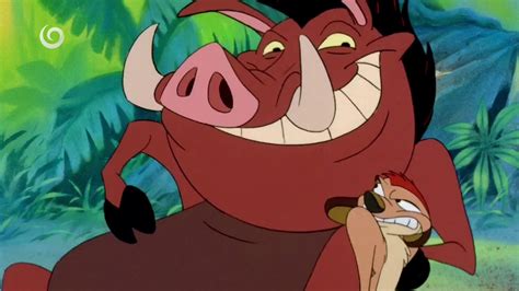 Timon & Pumbaa | Hakuna Matata (Intro) (Română HD) - YouTube