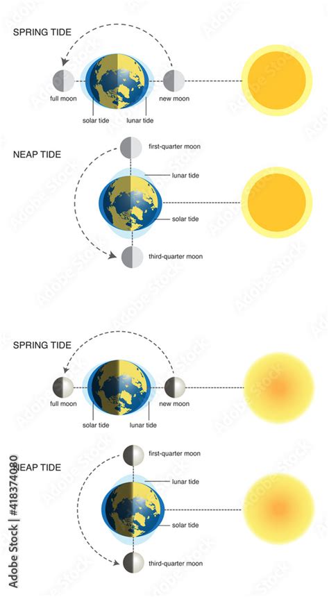 vector illustration of spring tide and neap tide (diagram):2 different ...