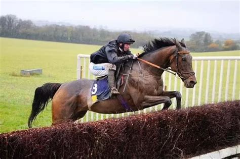 Paul Nicholls' star Hermes Allen dies in Sandown racing tragedy for Sir ...