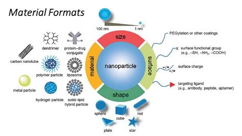 Nanoparticle Drug Delivery In Cancer Therapy - CancerWalls