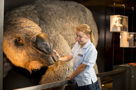 Megafauna - The Australian Museum