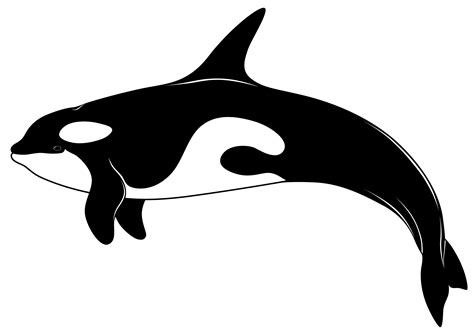 Orca Whale Clipart | Free download on ClipArtMag