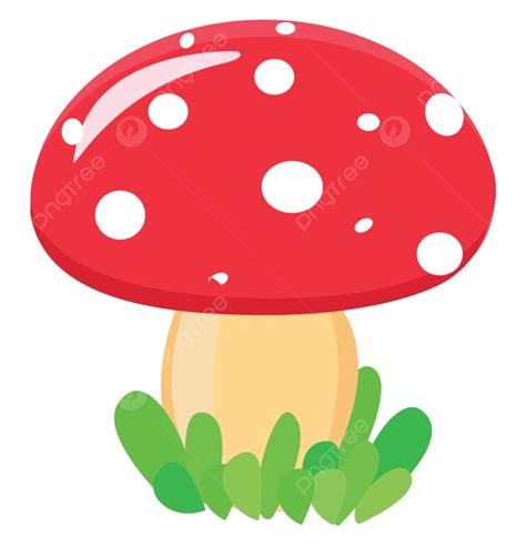 Fungi PNG, Vector, PSD, and Clipart With Transparent Background for ...