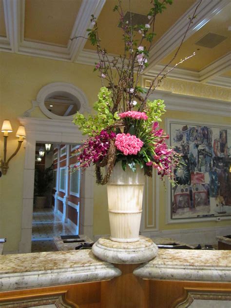 Orchids: $1 orchids? Only in Las Vegas | | journalnow.com